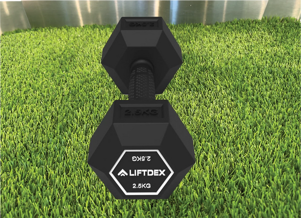 Dumbbells - 2.5 kg (per pair) image