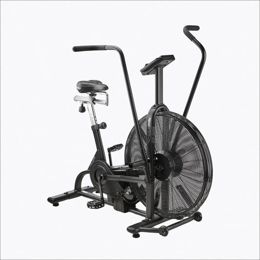 Assault Bike Classic image 