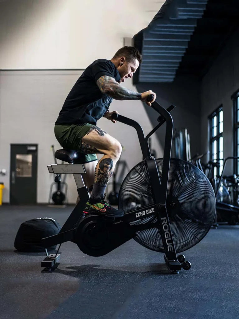 Rogue Echo Bike Quietest Air Bike Rogue Fitness Echo Bike Liftdex
