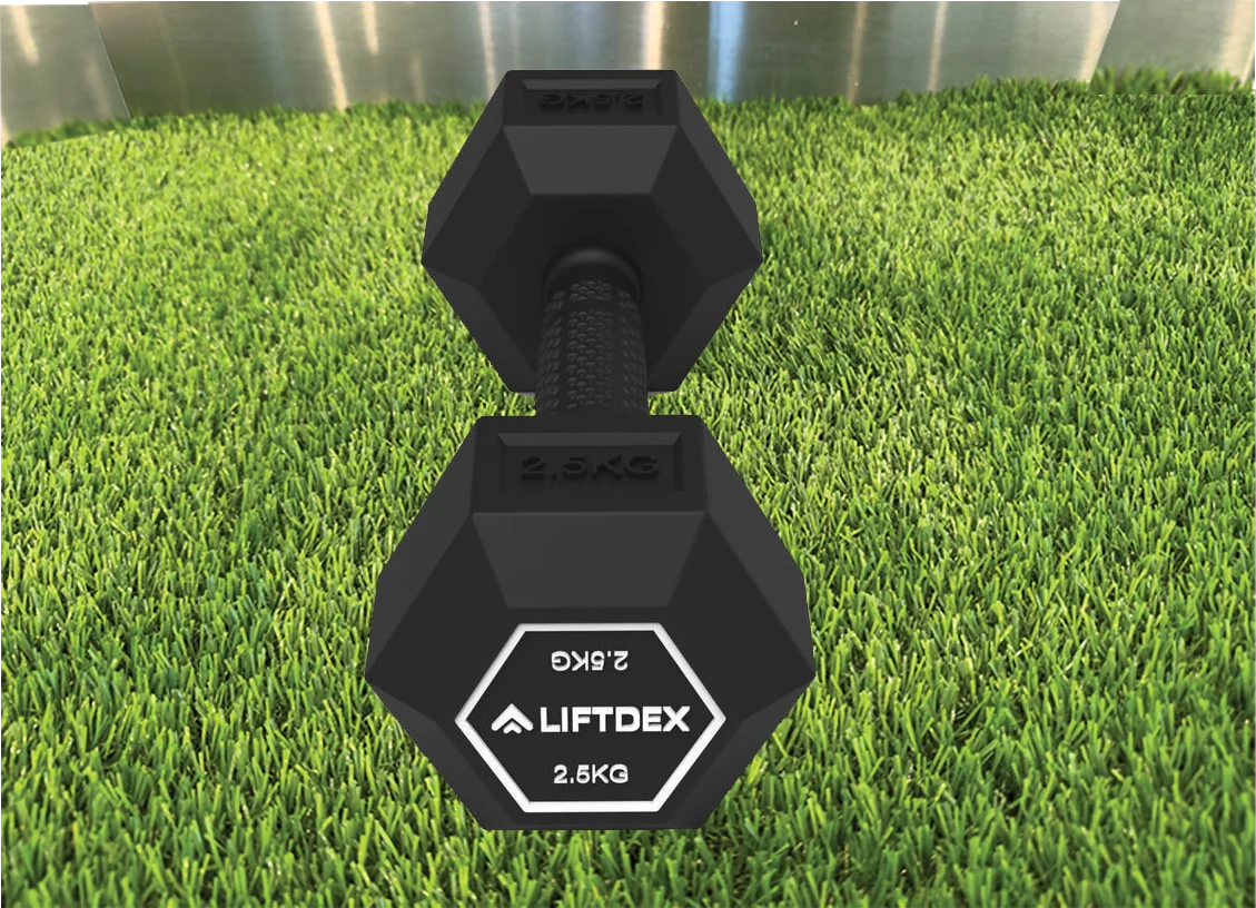 Dumbbells - 2.5 kg (per pair) image
