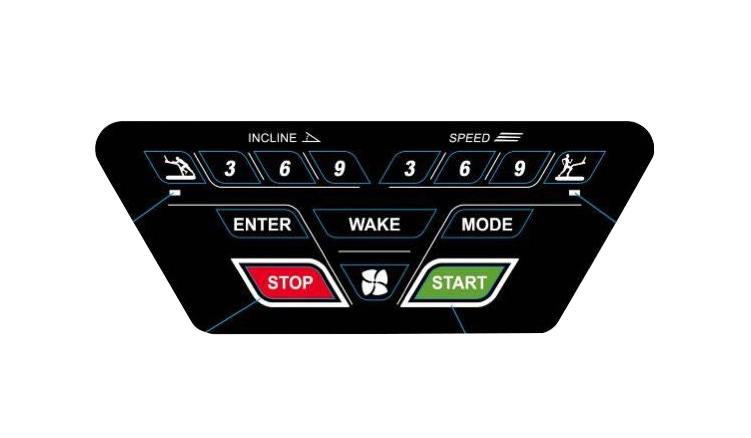 Alpha Runner – Perfect Blend of Aesthetics and Technique